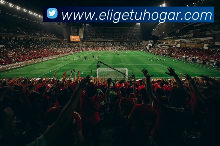 MKSports官方网站入口APP 封面图